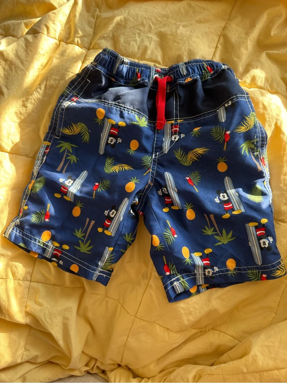 Hanna Andersson swim trunks size 4/100